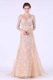 2024 New Arrival Prom Dresses V Neck 3/4 Length Sleeves Organza PJKNFRT1