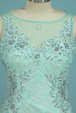 2024 Prom Dresses Mermaid Scoop With Applique And P2524PC1