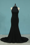 2024 Evening Dresses High Neck Mermaid Spandex PAAPKS7D