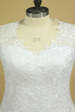 2024 Plus Size A Line V Neck Wedding Dresses Tulle With Applique Court P9G9YZ21