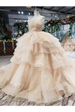 Ball Gown Wedding Dresses Strapless Top Quality Appliques PB8G3TA2