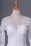 2024 Wedding Dresses Scoop Long Sleeves Spandex Court Train PFH7L1MS