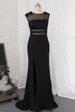 2024 Spandex Evening Dresses Mermaid Scoop With PX19DRJ5