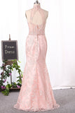 2024 Gorgeous High Neck Lace Prom PYDRZH23