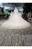 Ball Gown Wedding Dresses Off The Shoulder Top Quality Tulle PDCLPAQB