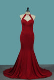 2024 Spandex Mermaid Scoop Evening Dresses Sweep PXSSPLLE