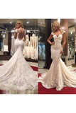 2024 Wedding Dresses Mermaid Off The Shoulder Lace PECXYRAR