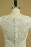 2024 Lace Wedding Dresses Sheath V-Neck Court Train Beaded P5JJ3G9M