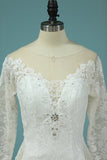 2024 Wedding Dresses Mermaid V Neck With Applique Lace PYK2YTMS