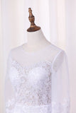 2024 Scoop Long Sleeves Wedding Dresses Tulle & Organza With Applique PGNQDBY7