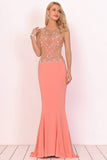 2024 Sexy Open Back Scoop Open Back Prom Dresses PG8JGJCM