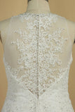 2024 Wedding Dresses V Neck Organza With Applique And PABJKBQQ