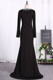 2024 Mermaid Mother Of The Bride Dresses V Neck Long Sleeves Spandex PS36T37Z