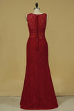 2024 Scoop Evening Dresses P68NFPEJ