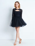 A-Line/Princess High Neck Long Sleeves Lace Short/Mini Net Dresses TPP0008616