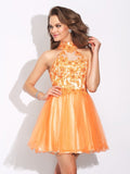 A-Line/Princess High Neck Ruffles Sleeveless Short Net Dresses TPP0008857