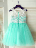 A-line/Princess Scoop Sleeveless Lace Long Tulle Dresses TPP0007601