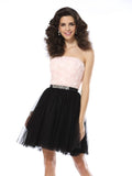 A-Line/Princess Strapless Sleeveless Short Tulle Cocktail Dresses TPP0008900