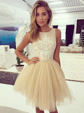 A-Line/Princess Sleeveless Bateau Tulle Applique Short/Mini Dresses TPP0008870