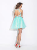 A-Line/Princess High Neck Lace Sleeveless Short Net Dresses TPP0008448