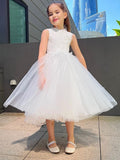 A-Line/Princess Tulle Lace High Neck Sleeveless Knee-Length Flower Girl Dresses TPP0007488