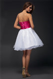 A-Line/Princess Strapless Sleeveless Beading Sash Short Organza Elastic Woven Satin Cocktail Dresses TPP0008714