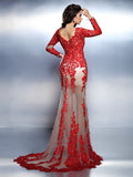 Trumpet/Mermaid V-neck Applique Long Sleeves Long Lace Dresses TPP0002302