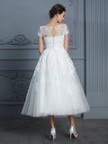 A-Line/Princess Scoop Short Sleeves Tea-Length Beading Tulle Wedding Dresses TPP0006474