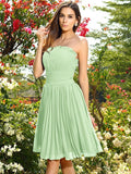 A-Line/Princess Strapless Pleats Sleeveless Short Chiffon Bridesmaid Dresses TPP0005323