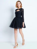 A-Line/Princess High Neck Long Sleeves Lace Short/Mini Net Dresses TPP0008616