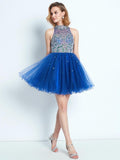 A-line/Princess High Neck Ruffles Sleeveless Short/Mini Net Dress TPP0008520