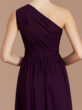 A-Line/Princess One-Shoulder Sleeveless Ruched Floor-Length Chiffon Bridesmaid Dresses TPP0005235