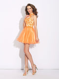 A-Line/Princess High Neck Ruffles Sleeveless Short Net Dresses TPP0008857