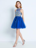 A-line/Princess High Neck Ruffles Sleeveless Short/Mini Net Dress TPP0008520