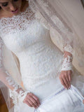 Trumpet/Mermaid Long Sleeves Off-the-Shoulder Sweep/Brush Train Applique Lace Tulle Wedding Dresses TPP0006432