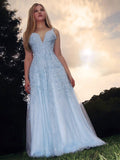 A-Line/Princess Sleeveless V-neck Applique Tulle Floor-Length Dresses TPP0004558