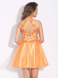 A-Line/Princess High Neck Ruffles Sleeveless Short Net Dresses TPP0008857