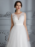 A-Line/Princess Sleeveless V-neck Sweep/Brush Train Tulle Wedding Dresses TPP0006437