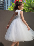 A-Line/Princess Tulle Lace High Neck Sleeveless Knee-Length Flower Girl Dresses TPP0007488