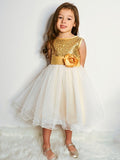 A-Line/Princess Organza Sequin Scoop Sleeveless Tea-Length Flower Girl Dresses TPP0007551