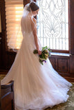 Elegant A Line Lace Appliques Deep V Neck Backless Halter Tulle Beach Wedding Dresses