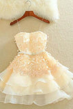 Cute A Line Sweetheart Spaghetti Straps Blush Pink Homecoming Dresses with Appliques